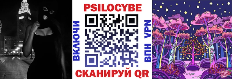 Галлюциногенные грибы мицелий  мега как войти  Чудово 