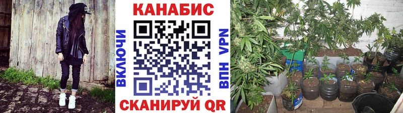МАРИХУАНА гибрид  Чудово 